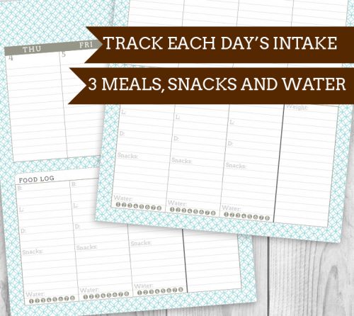 Meal and Water tracking Printable Planner! 4 colors, tons of veriations and add ons to make your unique planner | saynotsweetanne.com